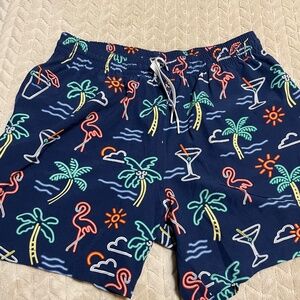 Chubbies swim trunks